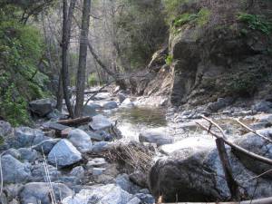 Beautiful canyons such as this one dot the San Gabriel Mountains.
