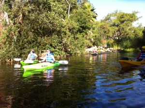 PADDLE UP: The L.A. Conservation Corps guides a group through still waters and overhanging willows. (Jim Burns)