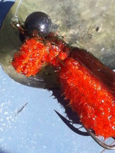 THE EYES HAVE IT: craw daddy fly posed on a piece of found river glass. (Jim Burns