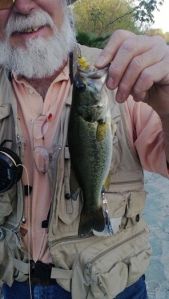 dad and largemouth