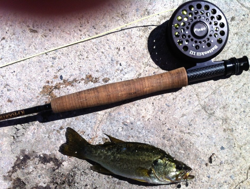 And then this largemouth bass grabbed the same fly, a work-a-day glo-bug. (Jim Burns)