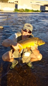 Mirror, mirror on the wall What name should this carp we call? (Ryan Anglin)