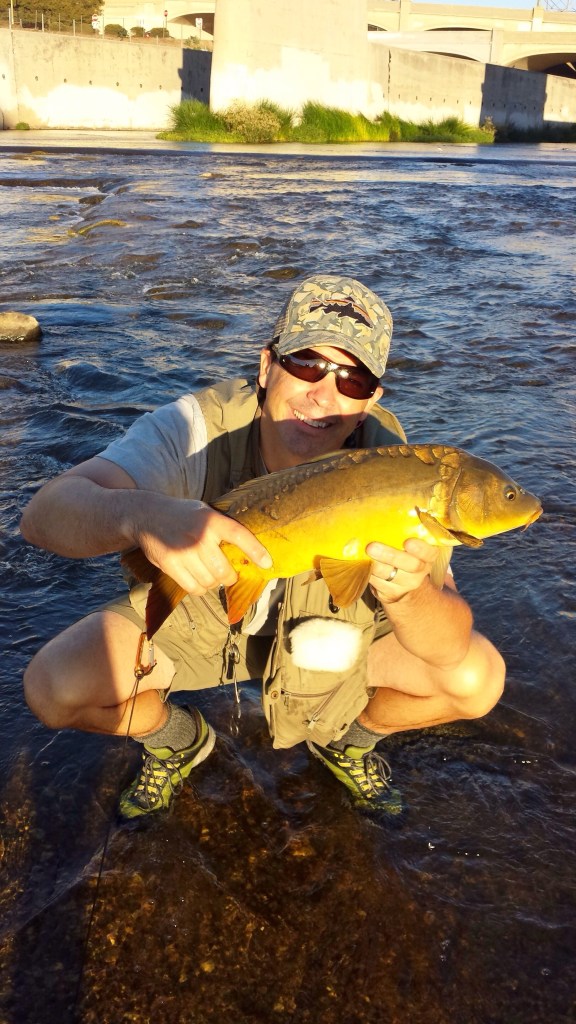 Mirror, mirror on the wall What name should this carp we call? (Ryan Anglin)