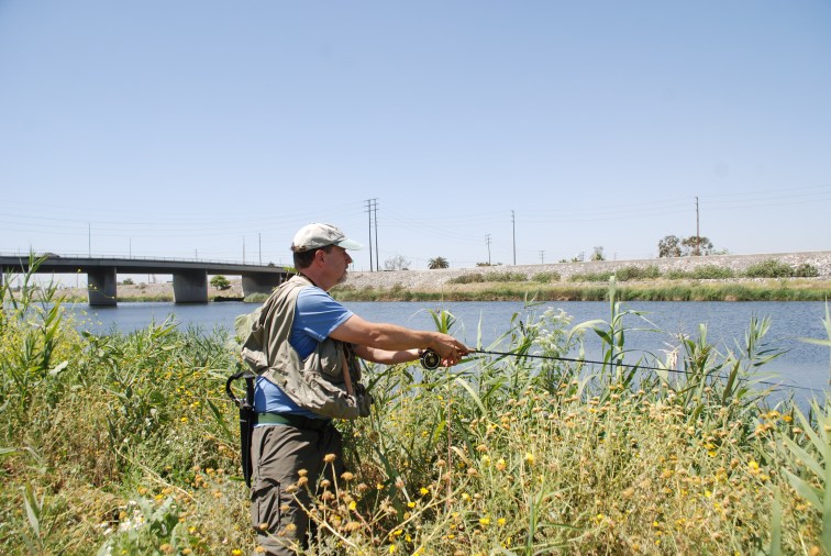 WILDFLOWERS: Become a citizen scientist and help FoLAR document what's in the Los Angeles River. (William Preston Bowling)