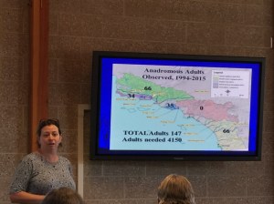 BIOLOGIST Sabrina Drill speaks to the urgency of So. Cal. Steelhead recovery at the Aquarium of the Pacific on Saturday. (Jim Burns