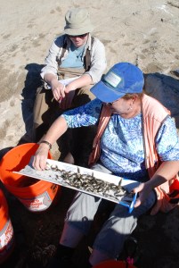 BIOLOGISTS Sabrina Drill (left) and Rosi Dagit inspect part of the tilapia haul. (William Preston Bowling)