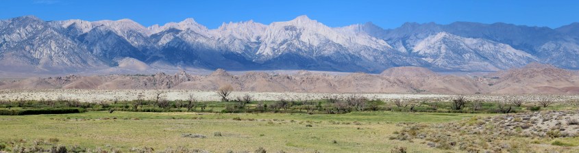 ORWT Bottom d_PanoramaprintCrop