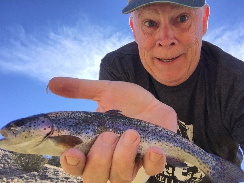 9c9bab7b-783e-410b-96c3-8bfd33e7797e