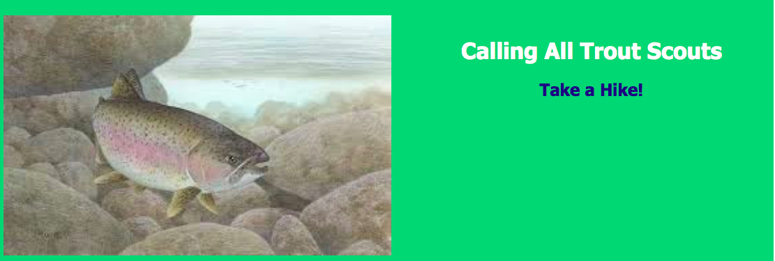 Screen Shot 2018-04-29 at 5.46.57 PM