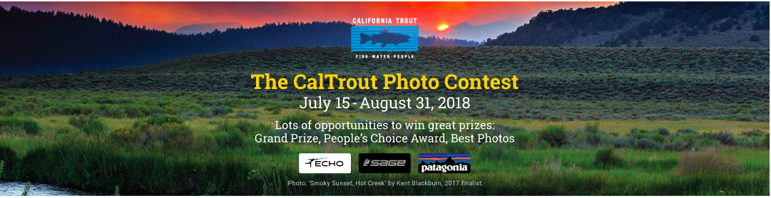 Screen Shot 2018-07-26 at 10.19.32 AM