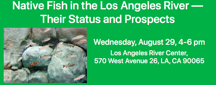 Screen Shot 2018-08-10 at 11.09.58 AM