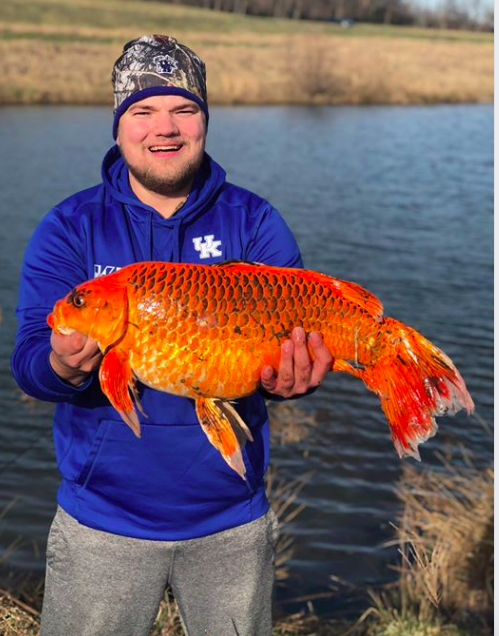 Screen Shot 2019-02-14 at 2.54.37 PM