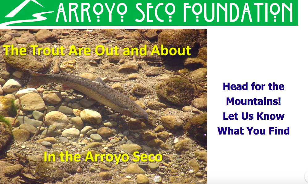 Screen Shot 2019-03-09 at 4.33.23 PM