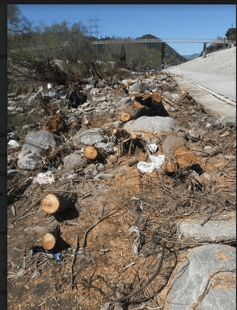 Screen Shot 2019-03-29 at 9.05.17 AM