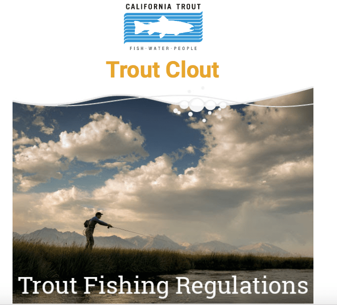 Screen Shot 2019-04-03 at 7.00.23 PM