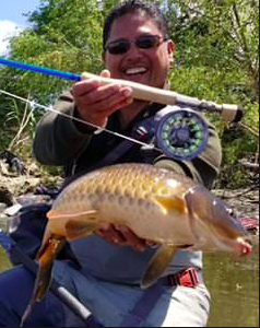 Screen Shot 2019-06-05 at 5.20.08 PM