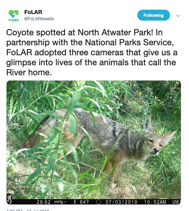 Screen Shot 2019-07-18 at 11.33.27 AM