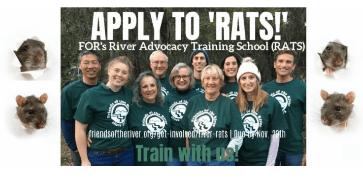 Screen Shot 2019-11-12 at 4.54.04 PM