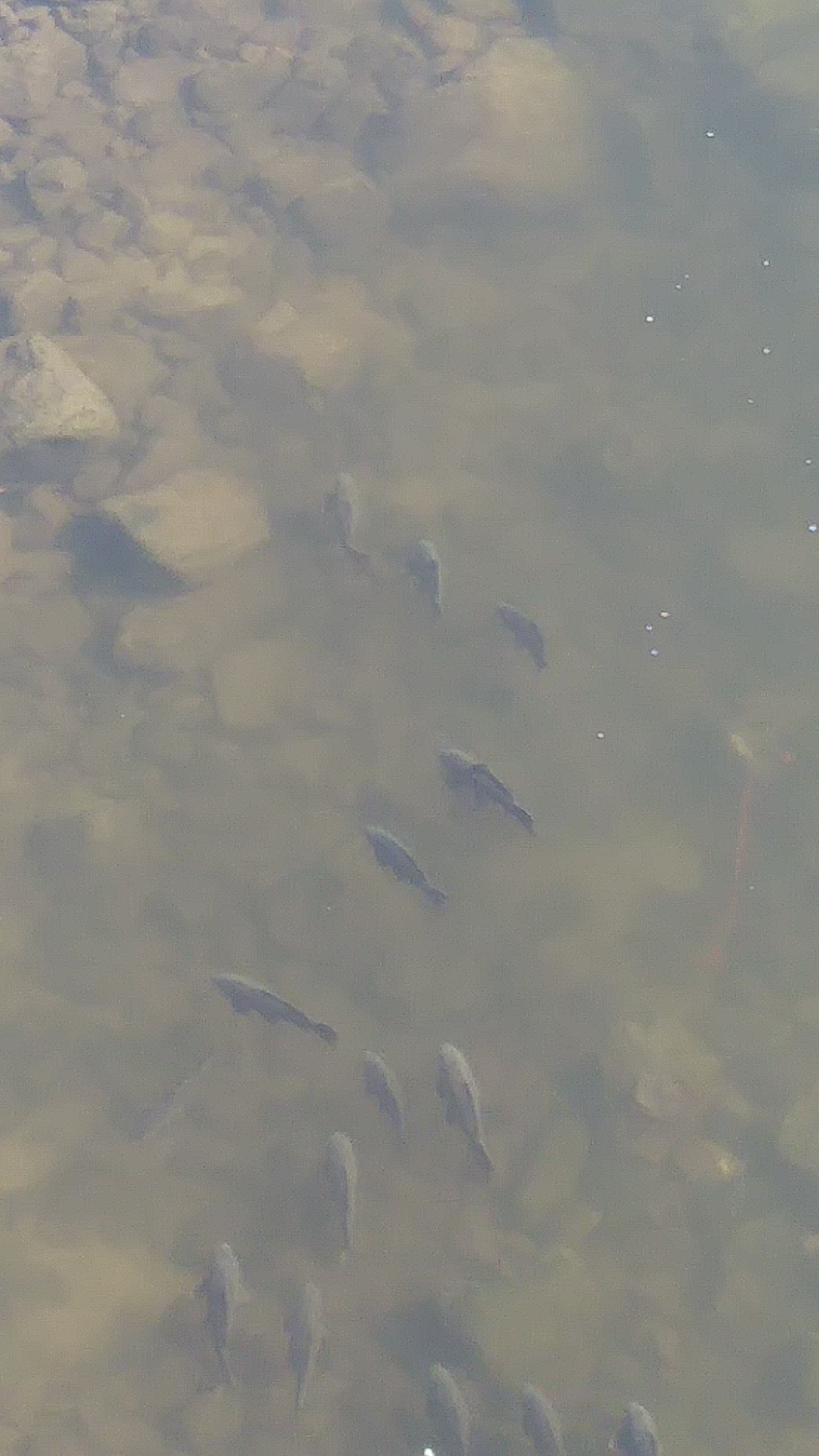 20200321_162848_Burst01