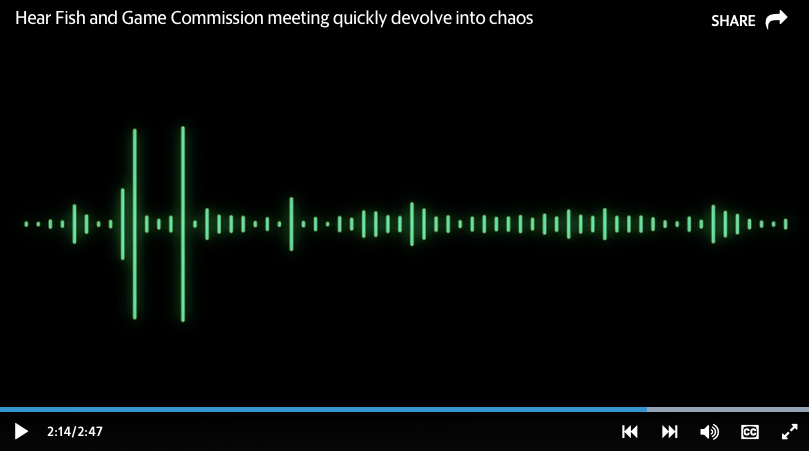 Screen Shot 2020-04-11 at 11.25.53 AM