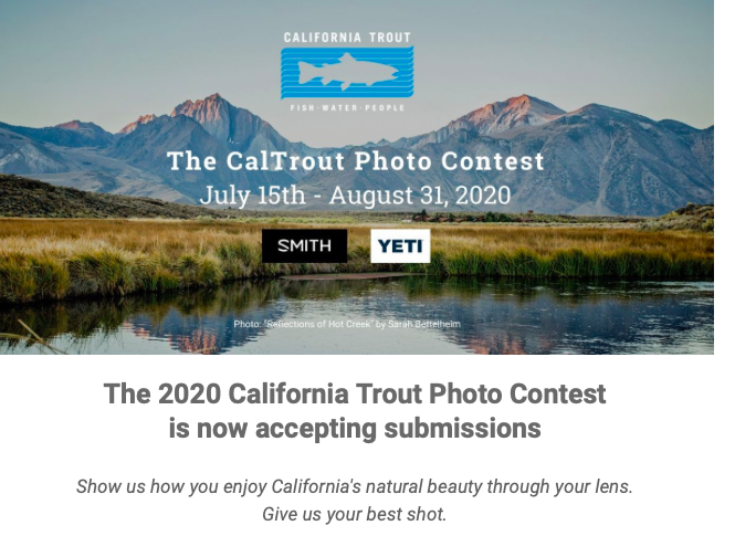 Screen Shot 2020-07-16 at 4.29.42 PM