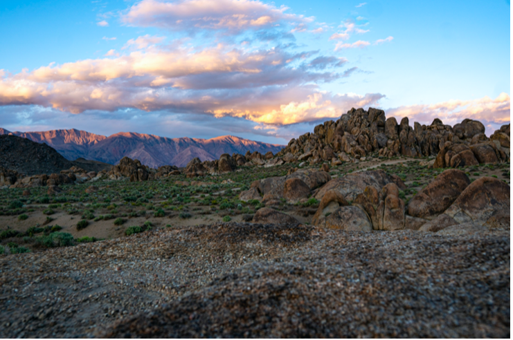 Screen Shot 2020-08-02 at 11.58.21 AM