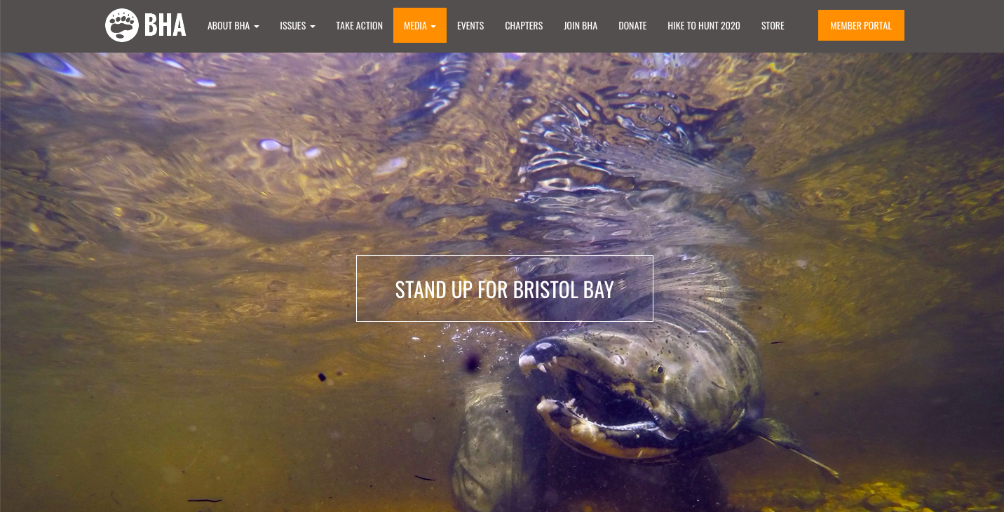 Screen Shot 2020-08-14 at 4.00.49 PM